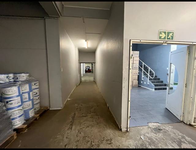 1,035M² WAREHOUSE TO LET IN ELSIES RIVER INDUSTRIAL